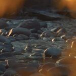 pebbles-nature