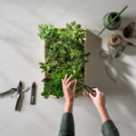 Caesarstone ICON: A Vibrant Revolution in Surface Design. Caesarstone 8101 Clearligh