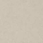 Caesarstone ICON 4201 Organic Dune gray surface